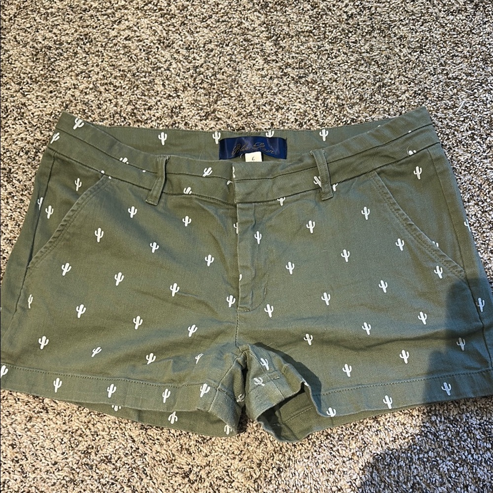 Blue Rain Green and White Cargo Shorts Relaxed Fit